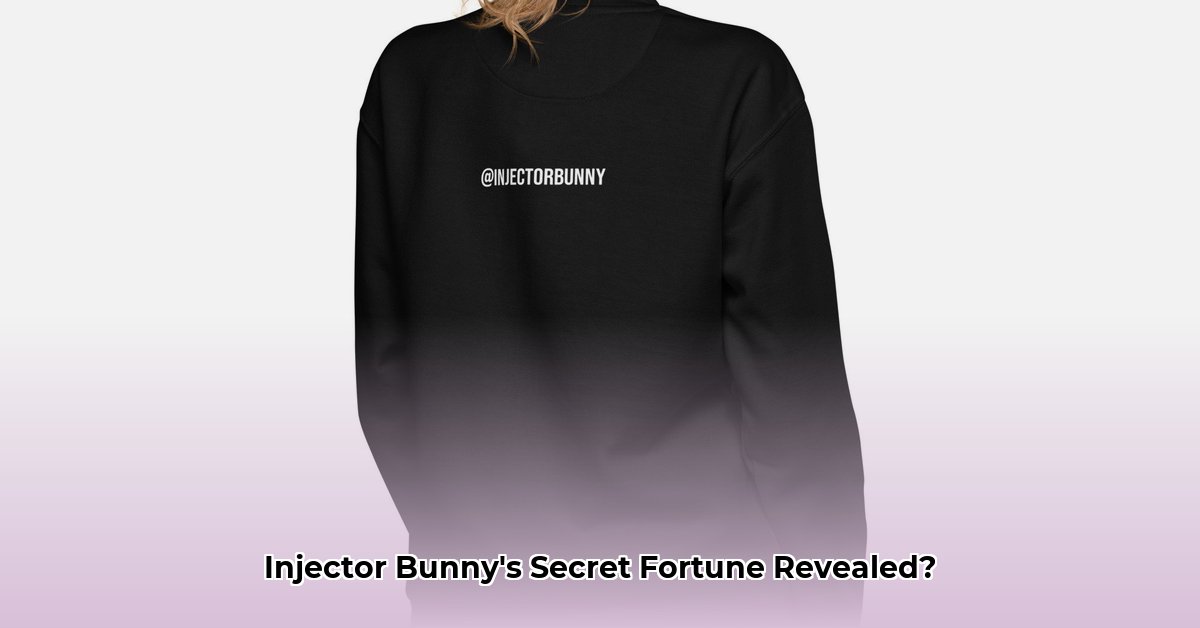 injector-bunny-net-worth